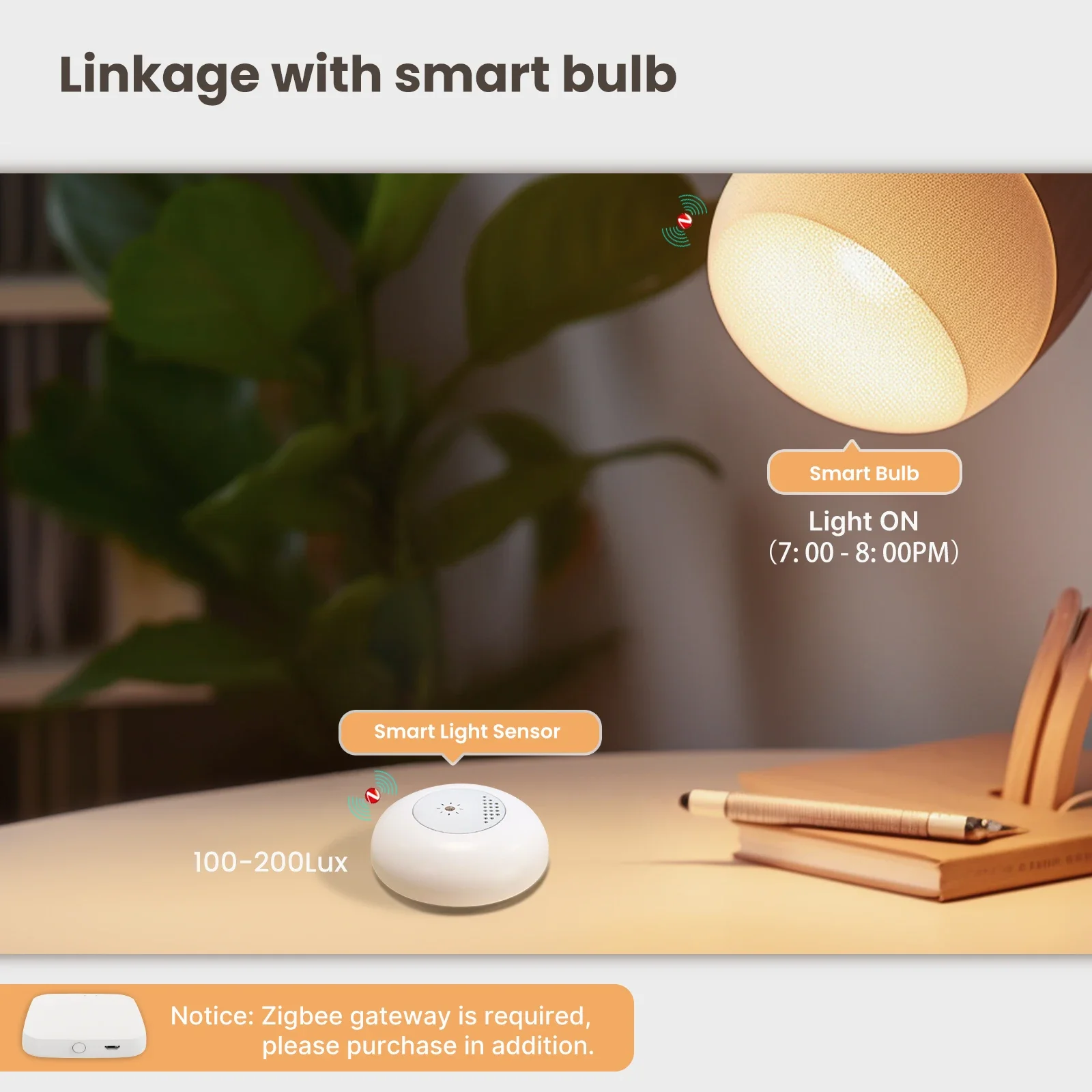 MOES Tuya Zigbee 스마트 라이트 센서 조도 - Home Automation Ideas 리뷰 및 가격